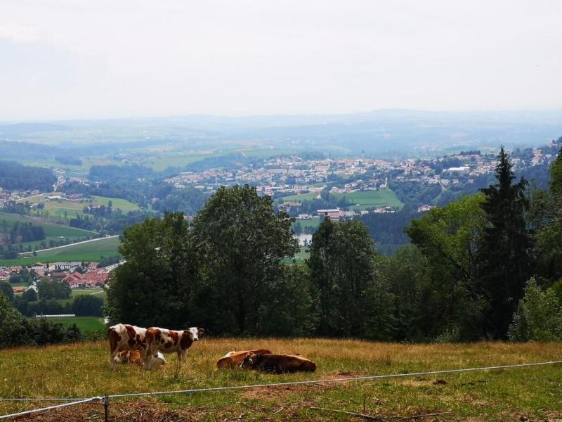 Ferienwohnung Waldblick Hauzenberg Exteriör bild
